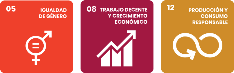 Icons representing three Sustainable Development Goals: Gender Equality with combined male and female symbol, Decent Work and Economic Growth with an upward graph, and Responsible Production and Consumption with a circular arrow symbol.